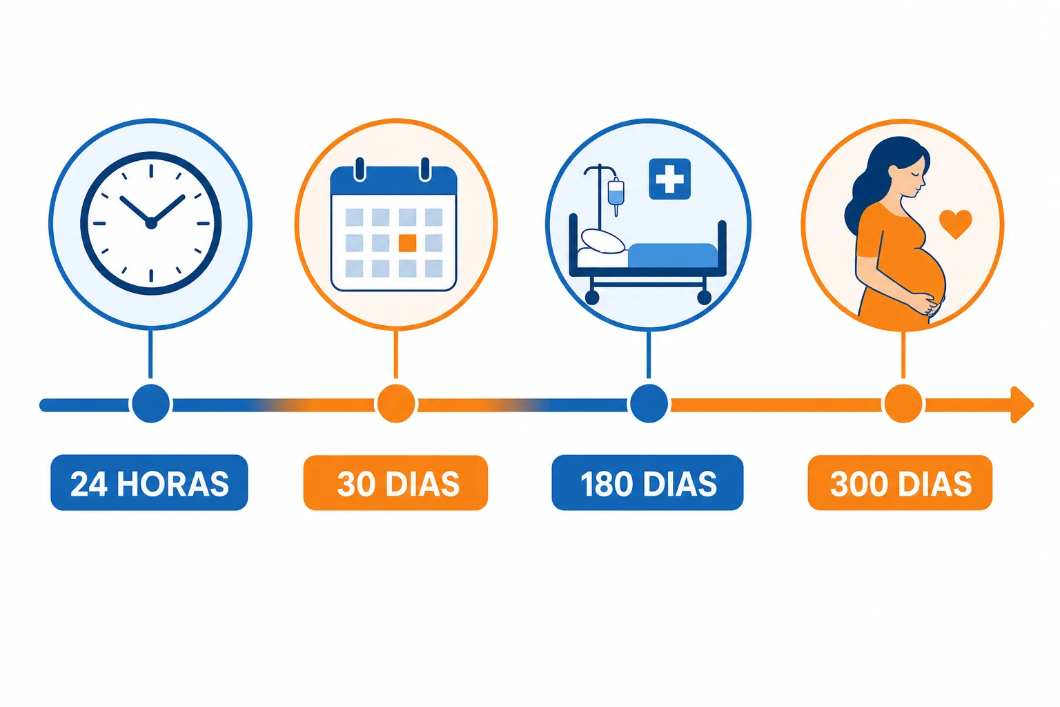 Infográfico: prazos de carência da ANS para planos de saúde em Jundiaí — de 24 horas a 730 dias